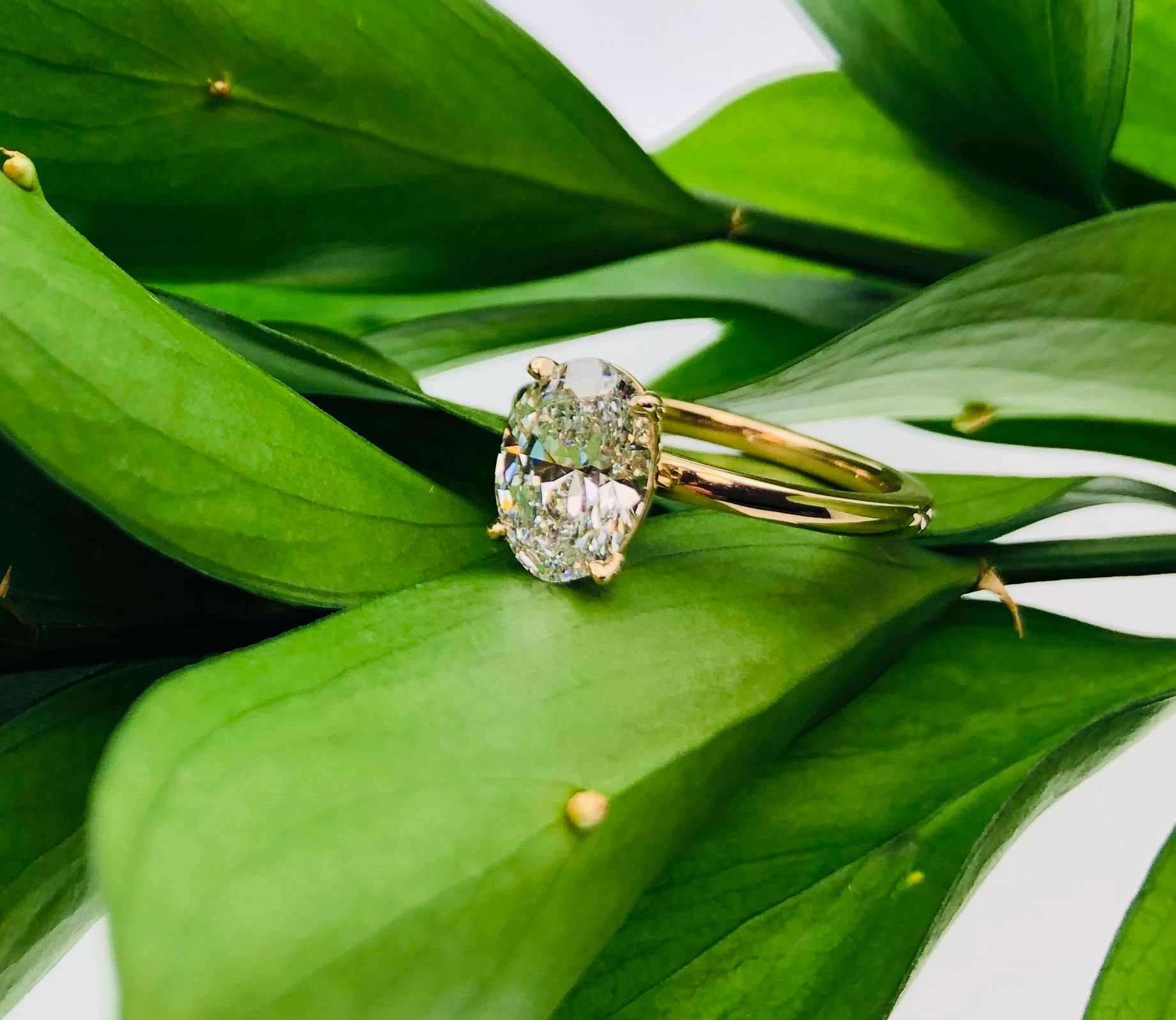 Jaya Moissanite Engagement Ring