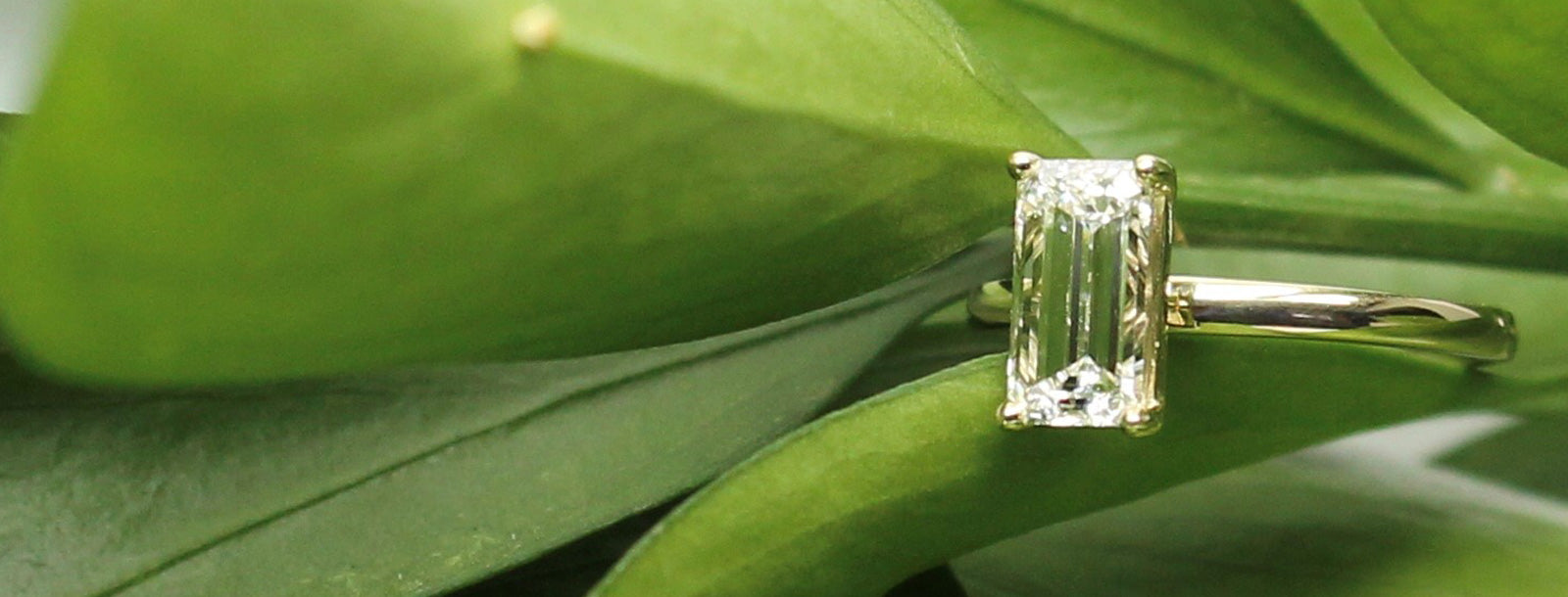 Custom Jewelry Design Vancouver BC, Canada, Diamonds Jewelry Designing, Lab Grown Diamonds Rings, Earnings and Wedding Bands at LL Private Jewellers