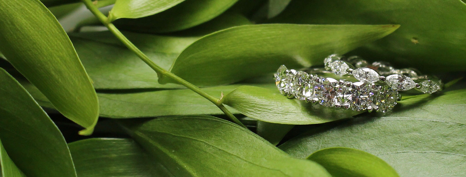 Engagement Rings Vancouver